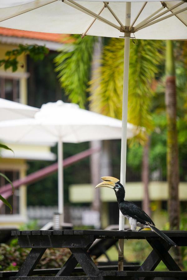 Anjungan Beach Resort Kampung Teluk Nipah Kültér fotó